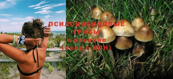 эйфоретик Абаза