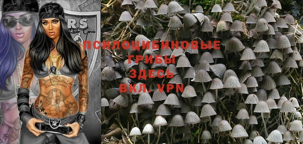 MDMA Premium VHQ Михайловск